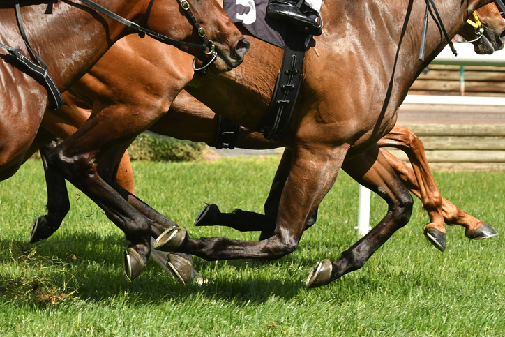 Australian Turf Club takes Mirvac to court