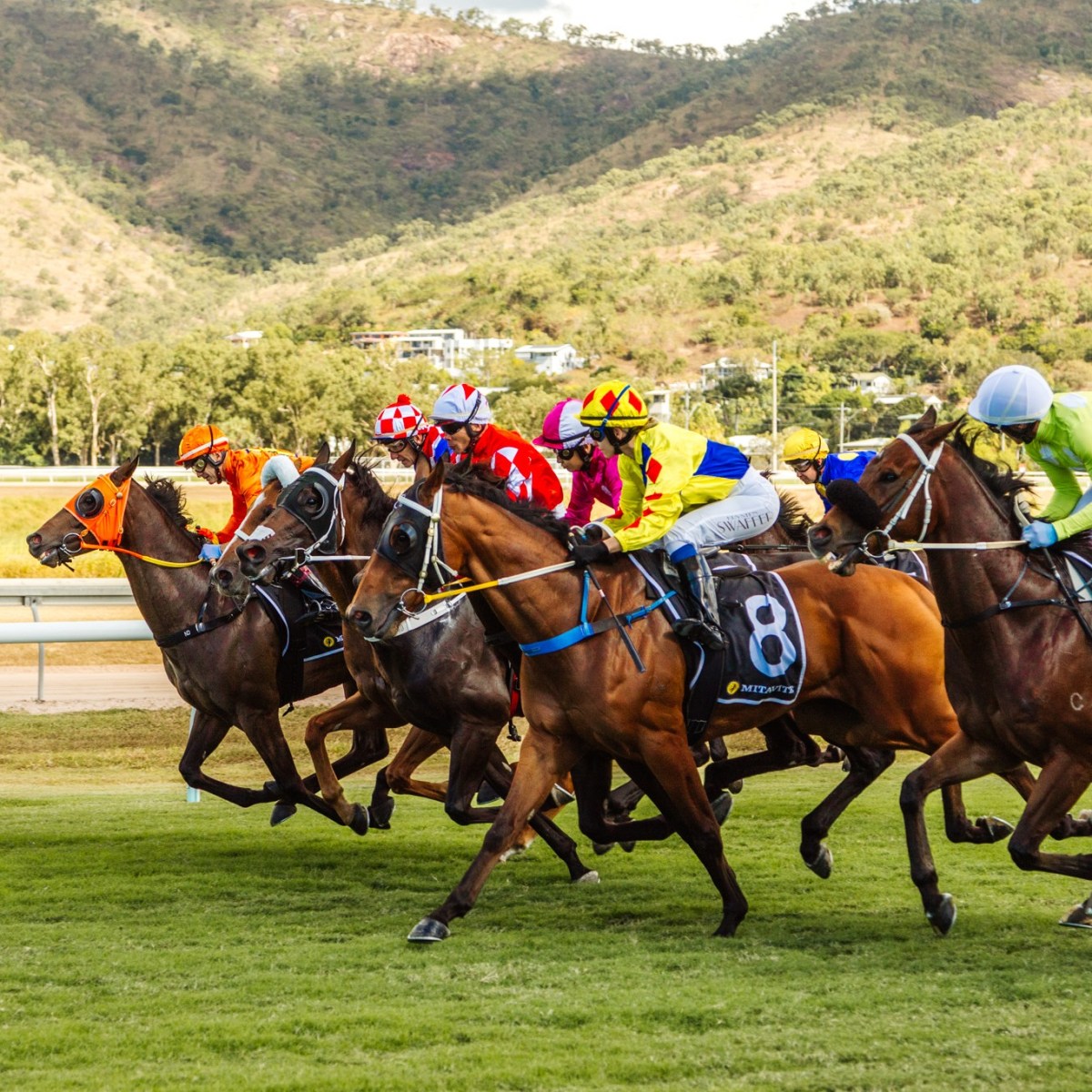 Townsville Turf Club Cuden Park