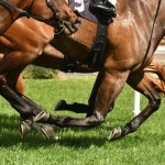 MRC confirms new CEO and vice chair