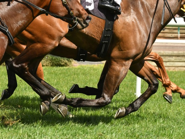 Racing NSW hits Australian Turf Club with show cause notice 